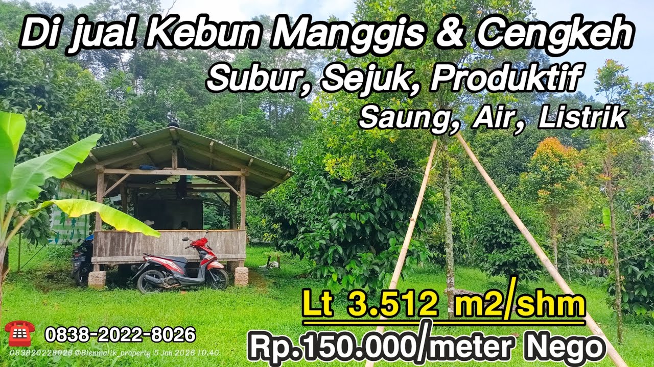 🌿 Dijual Kebun Subur & Produktif di Wanayasa Purwakarta – Udara Sejuk 700 MDPL, Cocok Investasi 