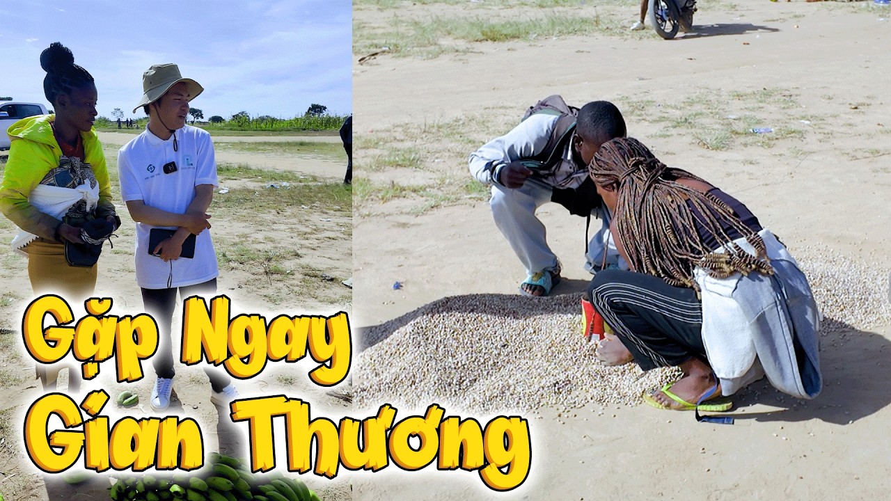 Gặp Ngay Đội Gian Thương Đang Chia Thành Quả Khi Đi Bán Hàng Cùng Gia Đình Em Matel