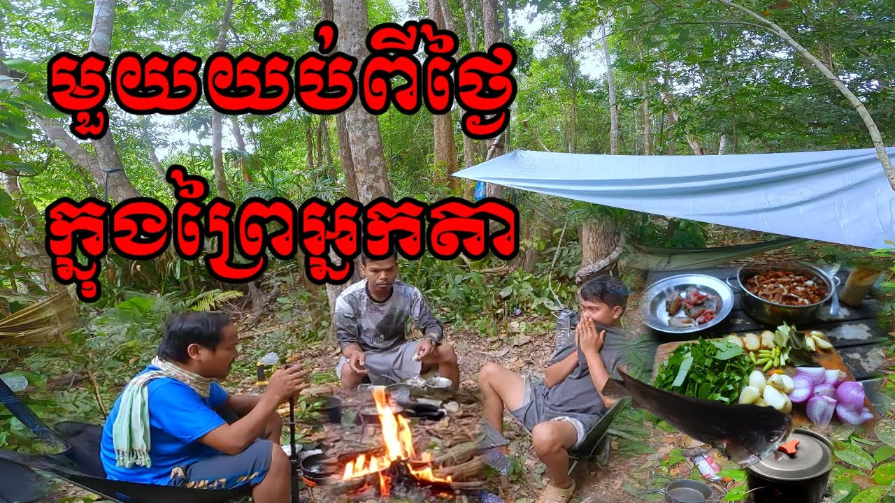 Set up a tent in the forest for a night after a day of searching for food in the forest.