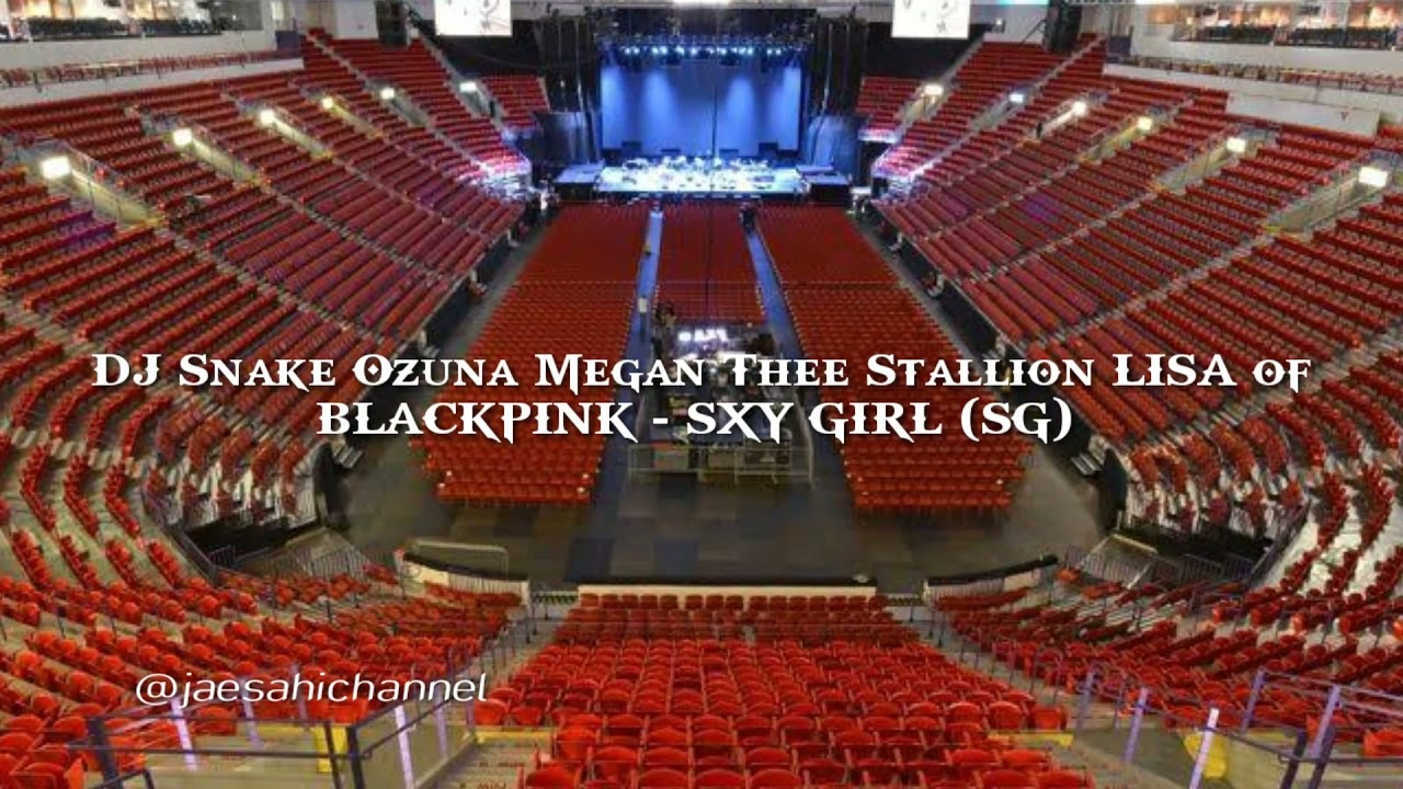 DJ Snake - SG With Ozuna LISA BLACKPINK Megan Thee Stallion but you're in empty arena