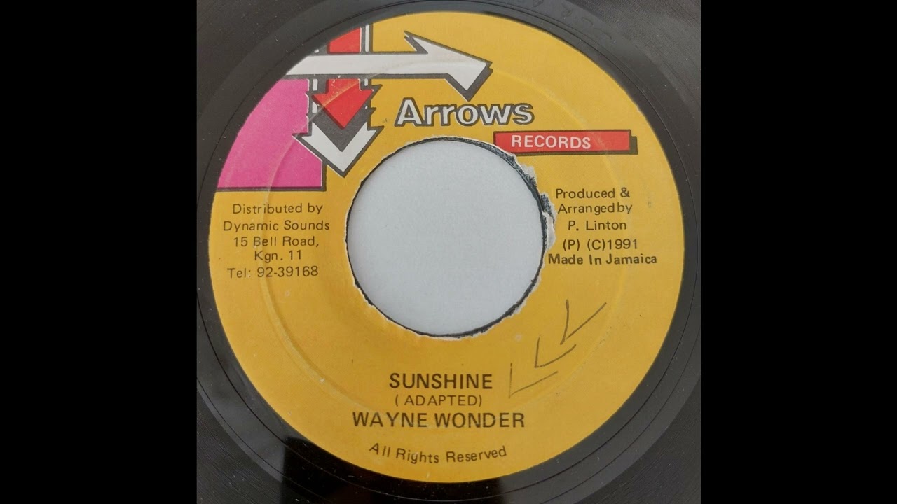 Wayne Wonder - Sunshine - Arrows Records 7inch 1991