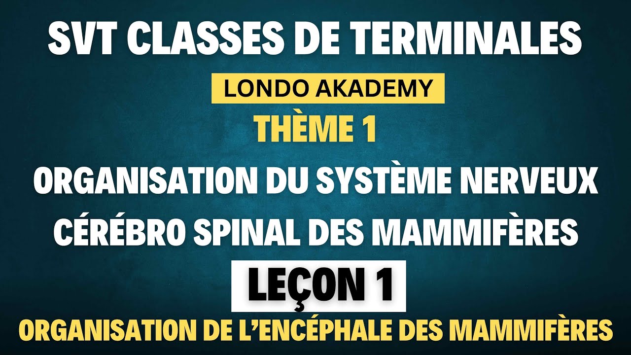 COURS SVT TS2 LONDO AKADEMY | THÈME 1 | LEÇON 1 : ORGANISATION DE L’ENCÉPHALE DES MAMMIFÈRES