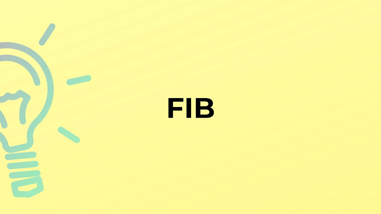 What is the meaning of the word FIB?