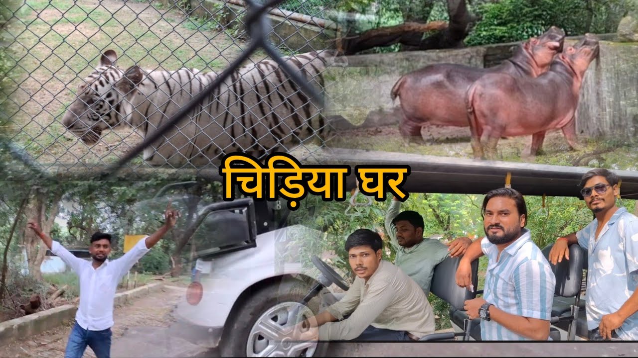 Zoo Jungle safari | Desi Vlog |  Tiger | Lion | Dariyai Ghoda | Snakes