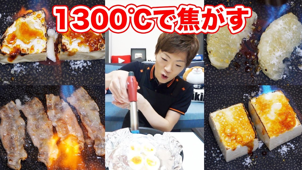 どんな食べ物も砂糖かけて1300℃で焦がせば美味しくなる説【セイキン & ポンちゃん】