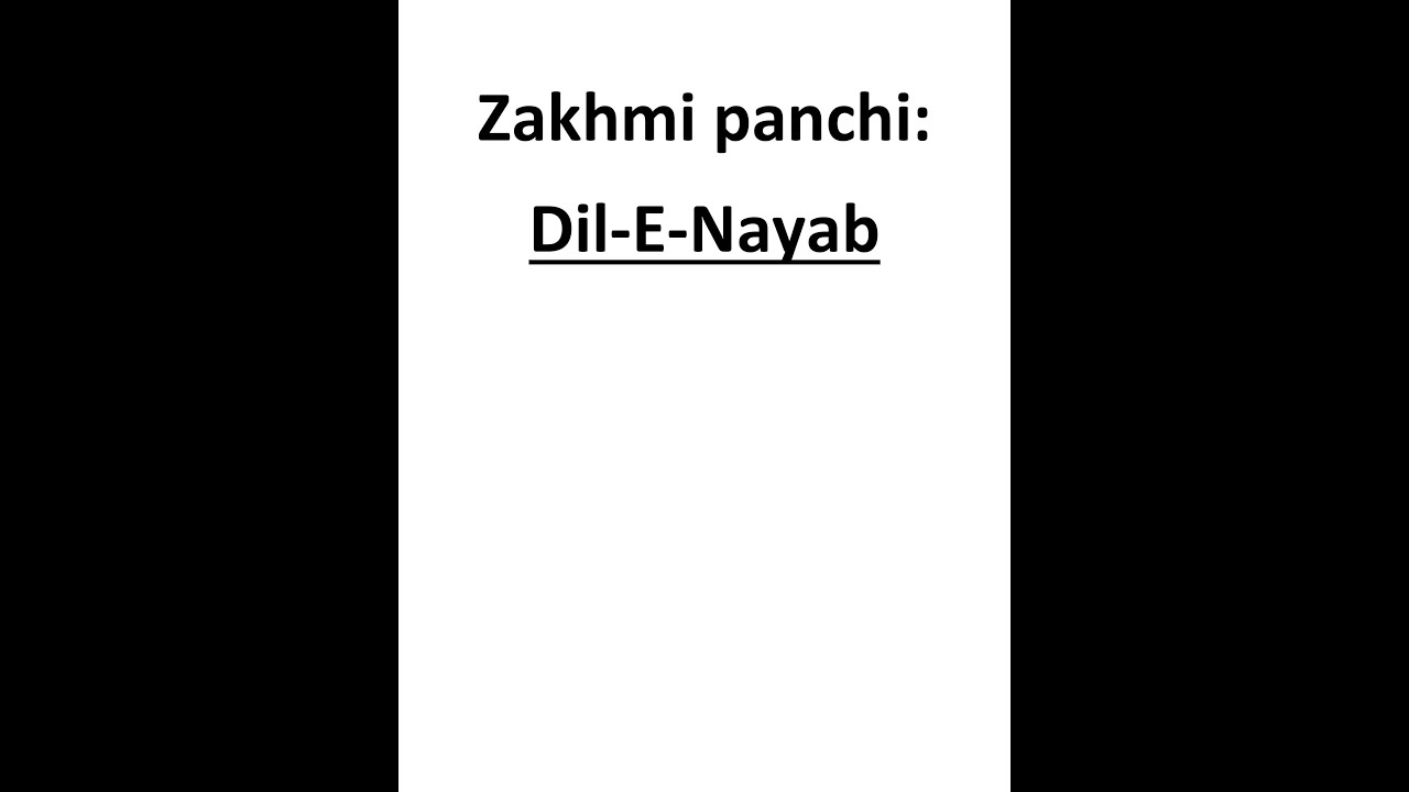 Zakhmi panchi by Dil-E-Nayab | Shayan Alam