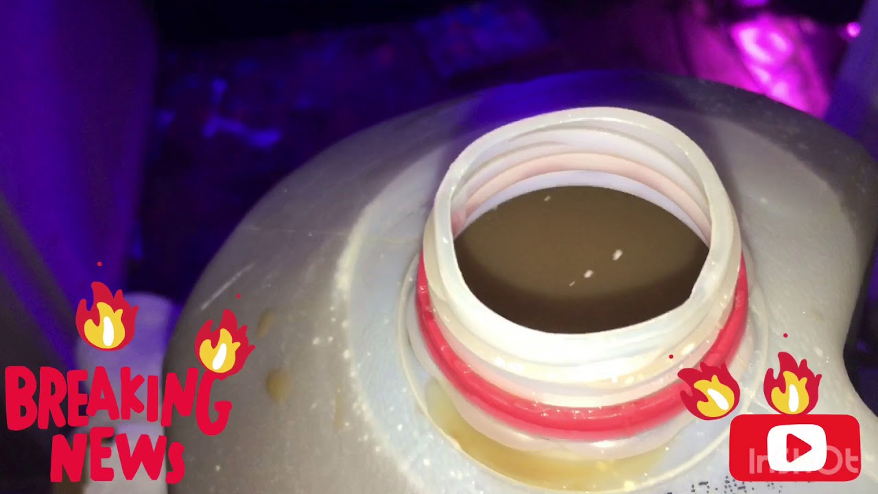 Feeding lemon alien LaPlataLabs 2700ppm far from flipping
