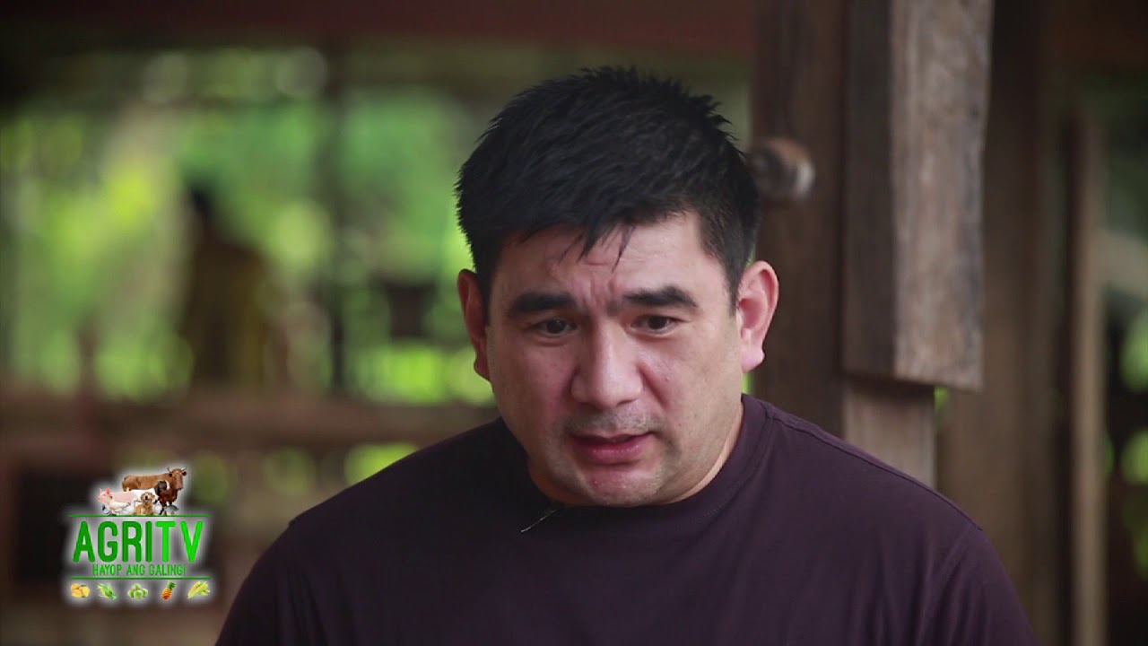 AGRITV DECEMBER 24, 2017 EP Agrihan Native Pigs Part 1 LJAY SUMULONG
