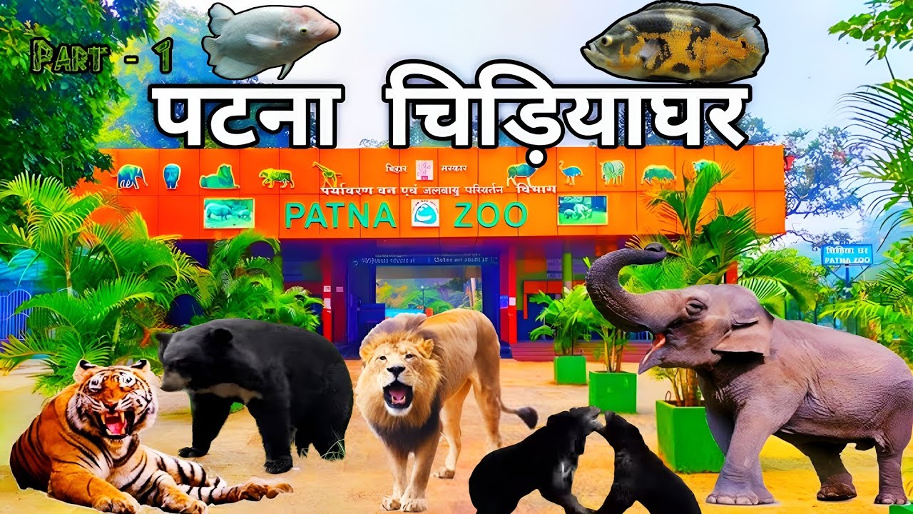 पटना चिड़ियाघर की पूरी सैर: शेर से लेकर रंग-बिरंगी मछलियों तक सब कुछ! 🦁🐠