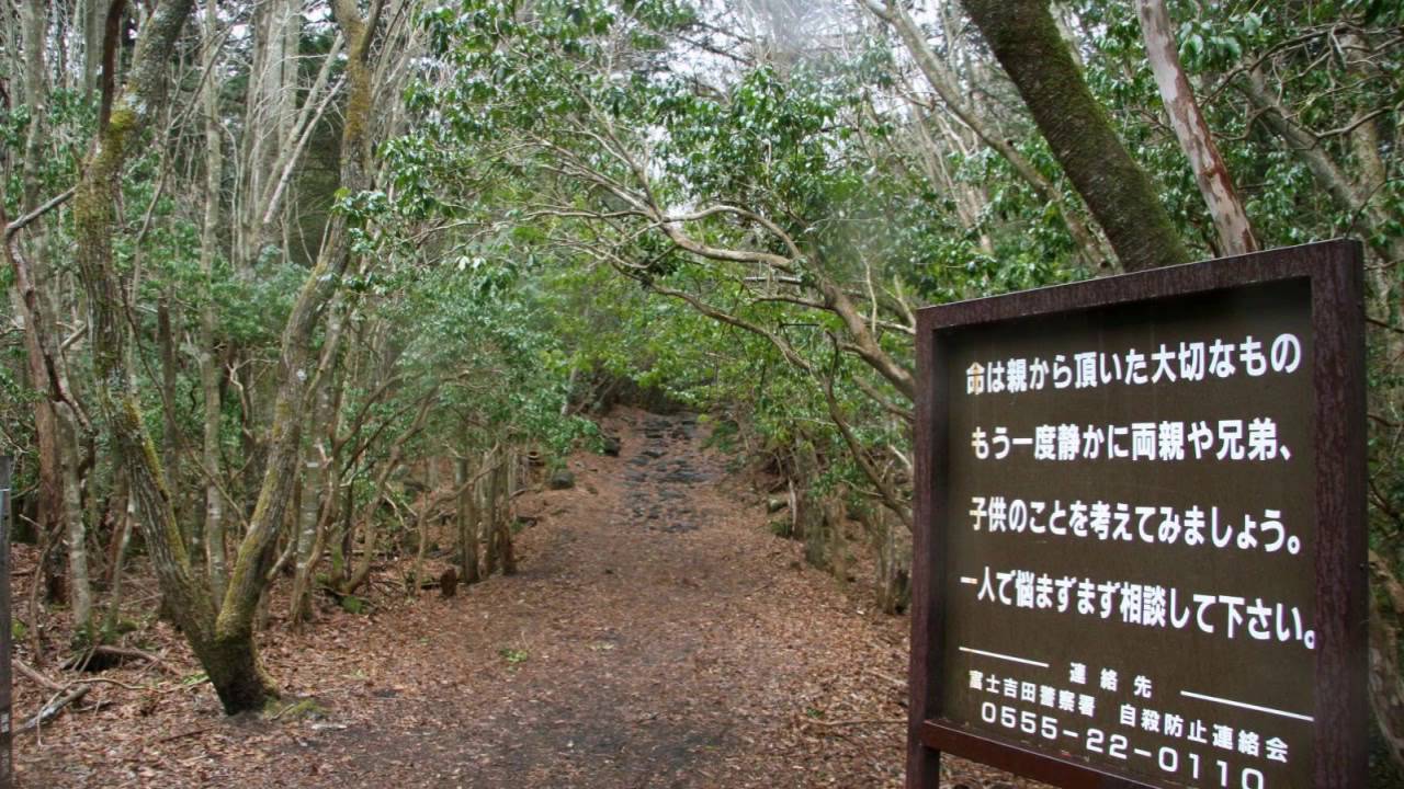 Moth - Aokigahara (青木ヶ原) (Deathstep)