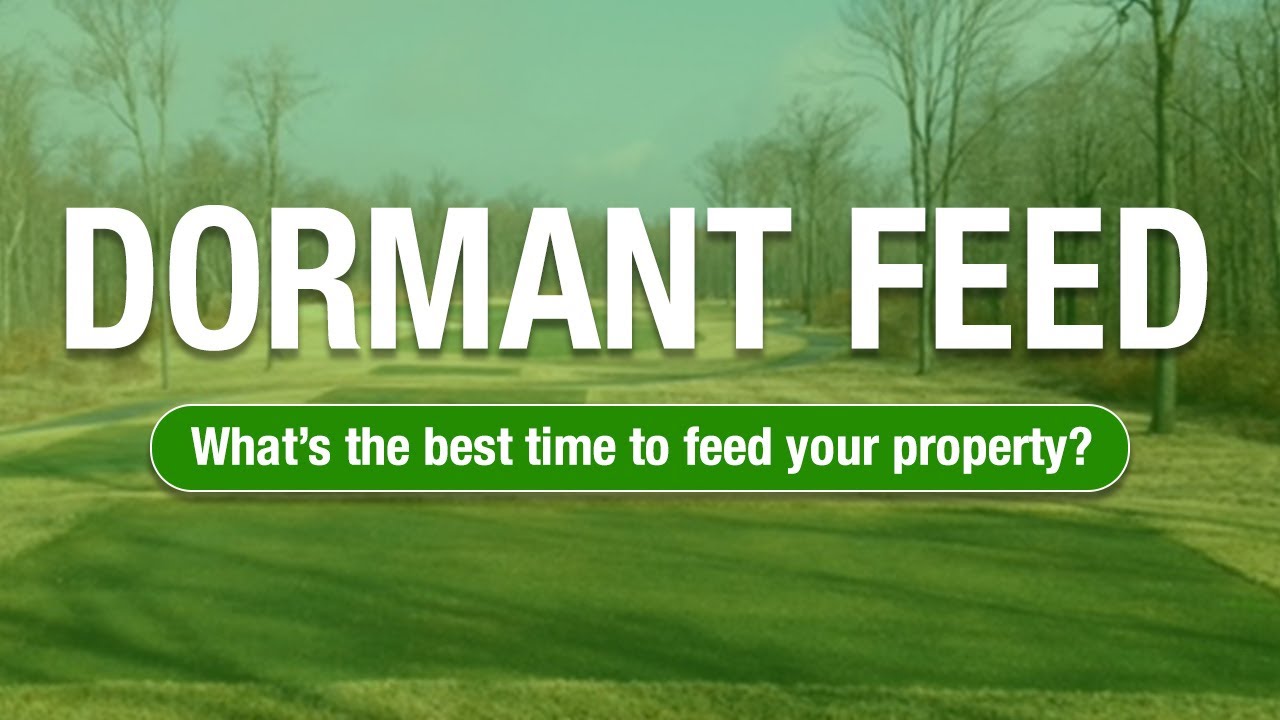 2 Minute Turf Talk - Dormant Feed
