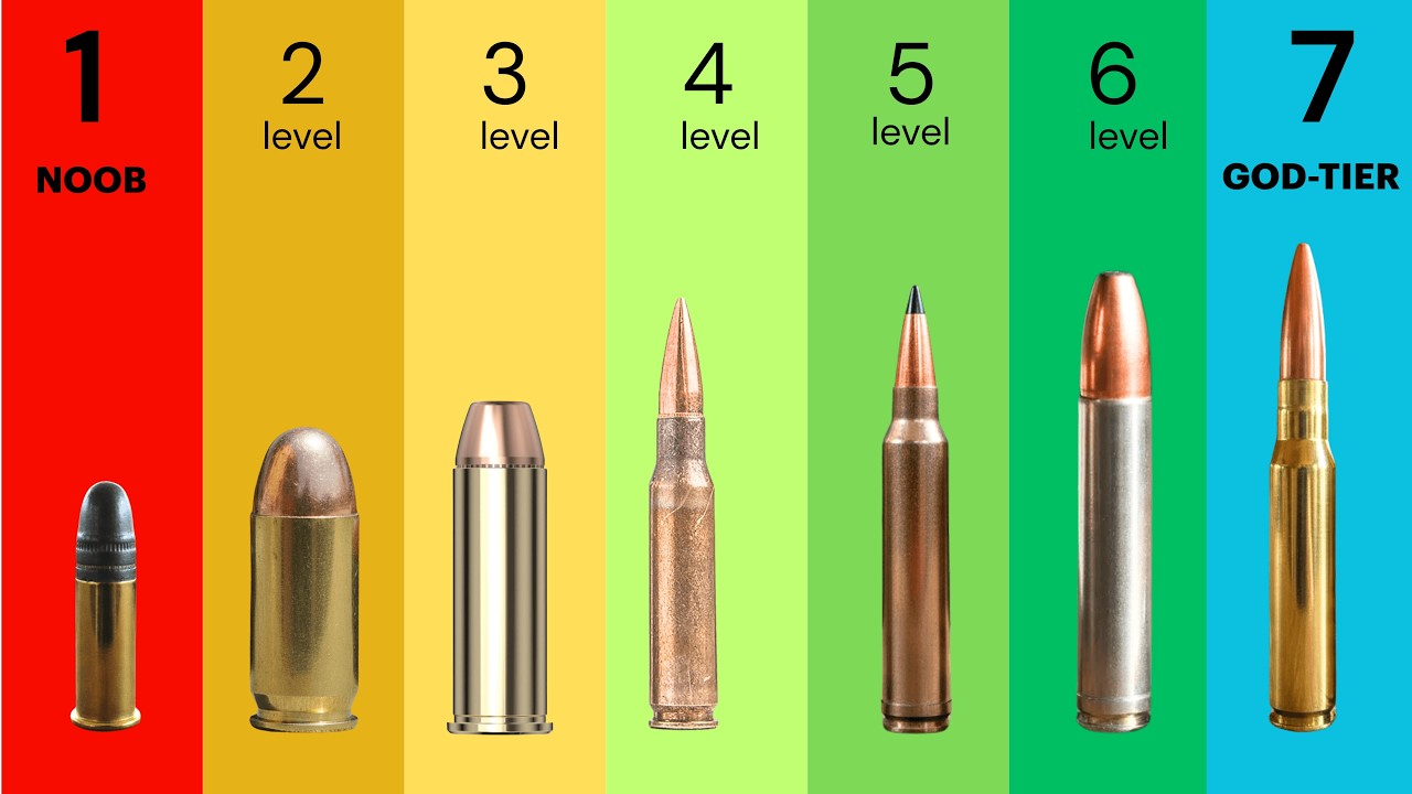7 Levels of Gun Cartridges Explained