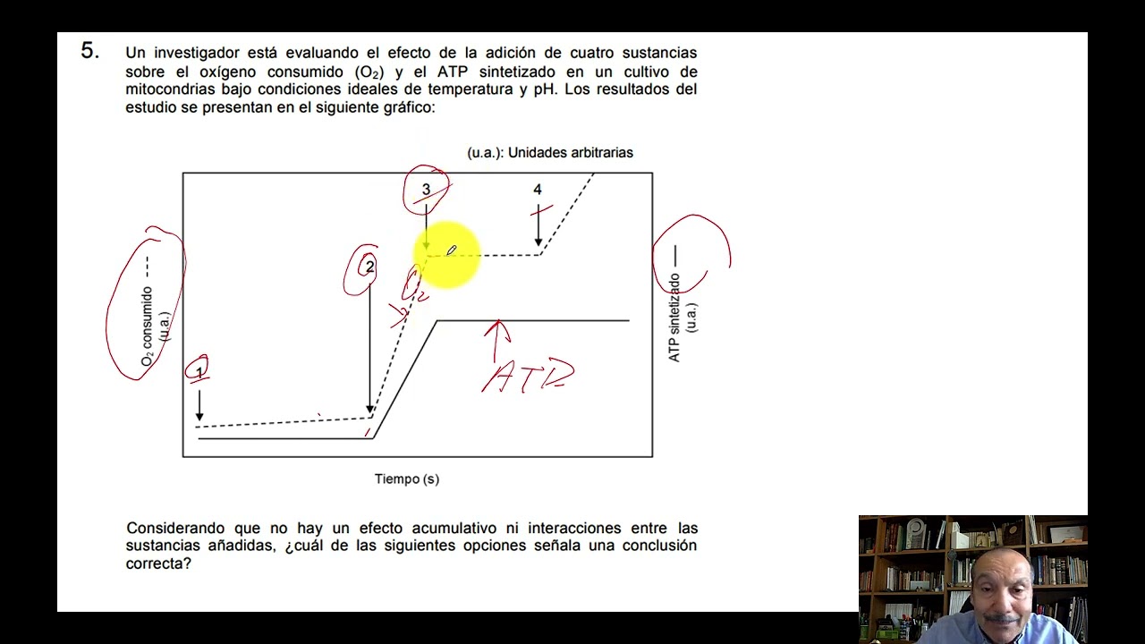Resolución PAES regular Noviembre 2023 - Ciencias Parte Biología Común