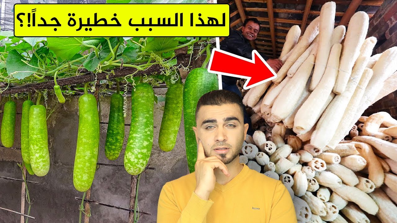 المصانع تكشف حقيقة ليفة الاستحمام 😱من الانتاج حتى التغليف😱مهم جداًَ