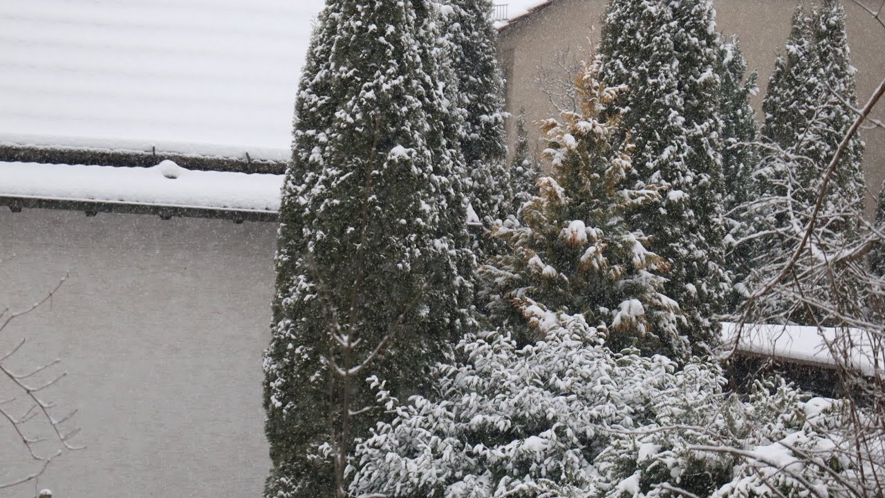 Snowstarm Ambience from Germany for Relaxation & Long Sleep!