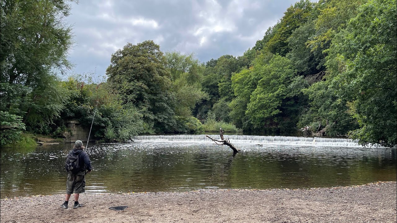 Let’s see Woodbank Park of Manchester