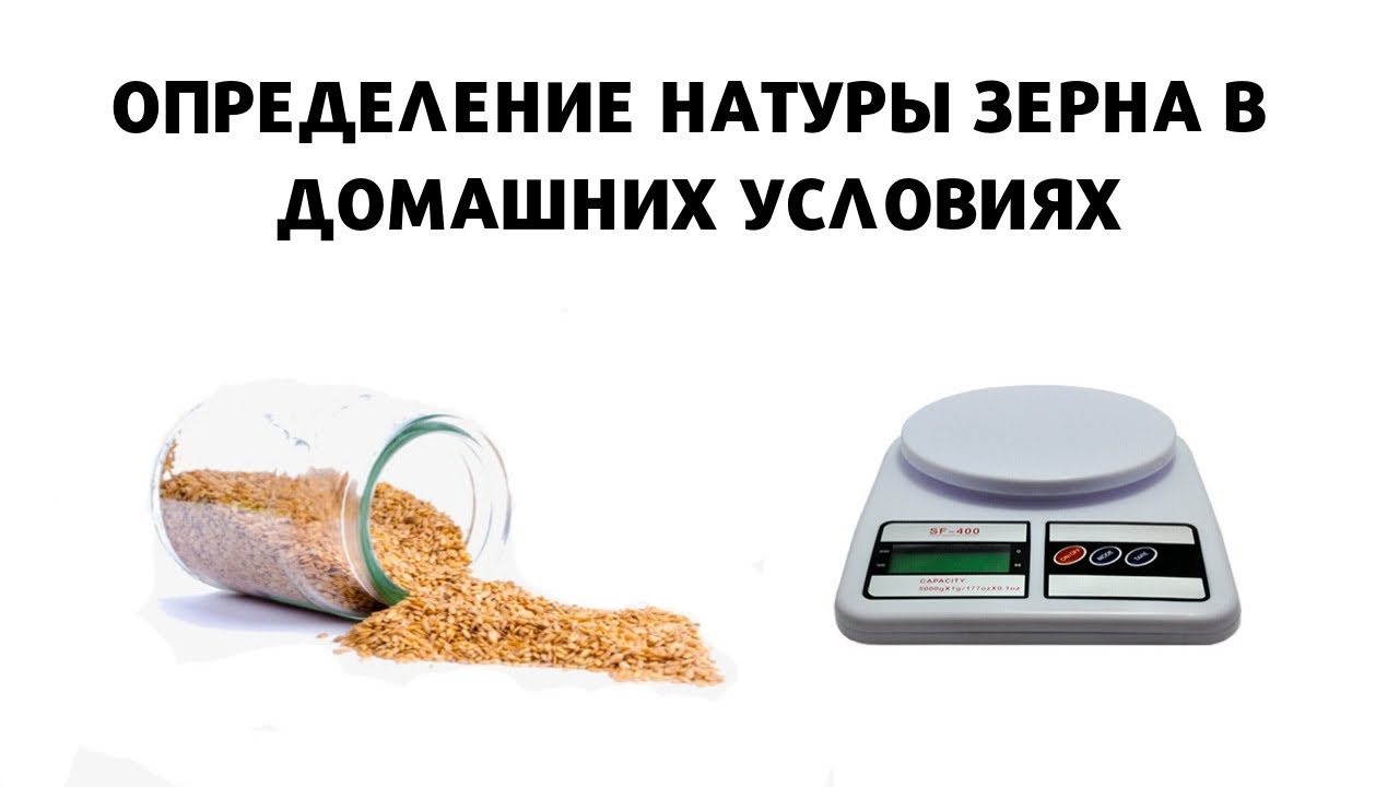 Натура Зерна. Как определить в Домашних Условиях?