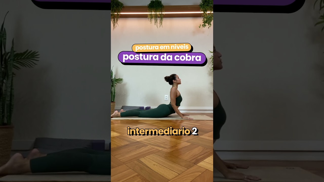 Postura em n&iacute;veis: Postura da Cobra