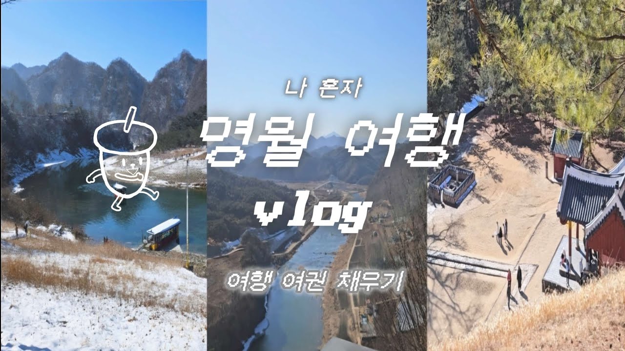 vlog. 국내여행 l 강원도 영월 l 청령포 l 동강둔치공원 l 영월소금빵 l 장릉 l 선돌 l 영월서부시장