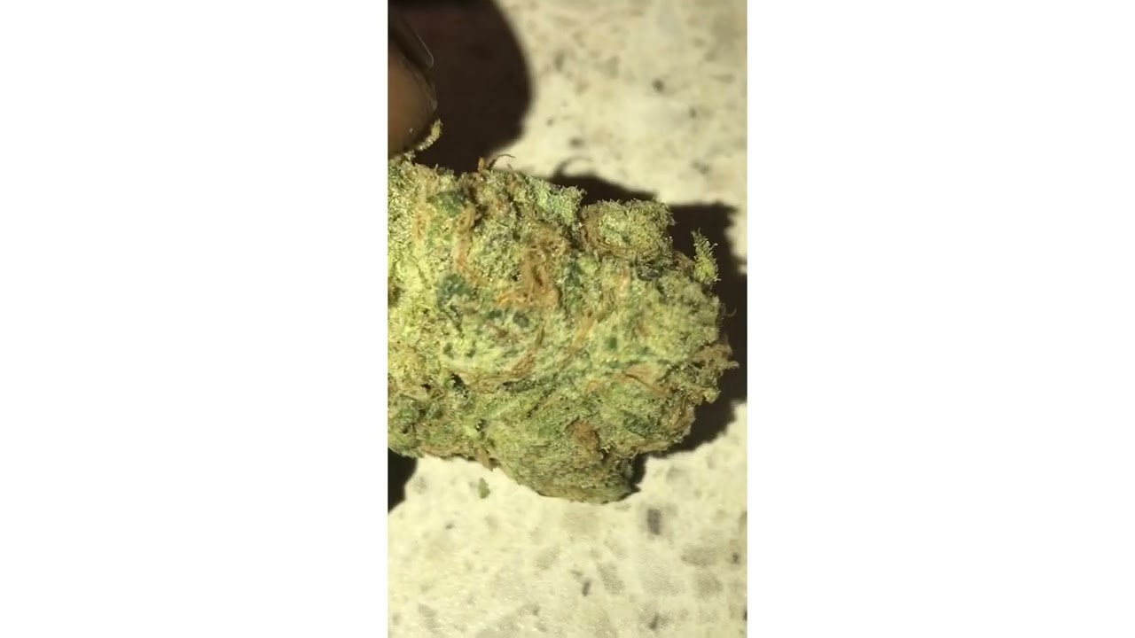 Crunch Berries Strain Review ( Smk Brk 420 )