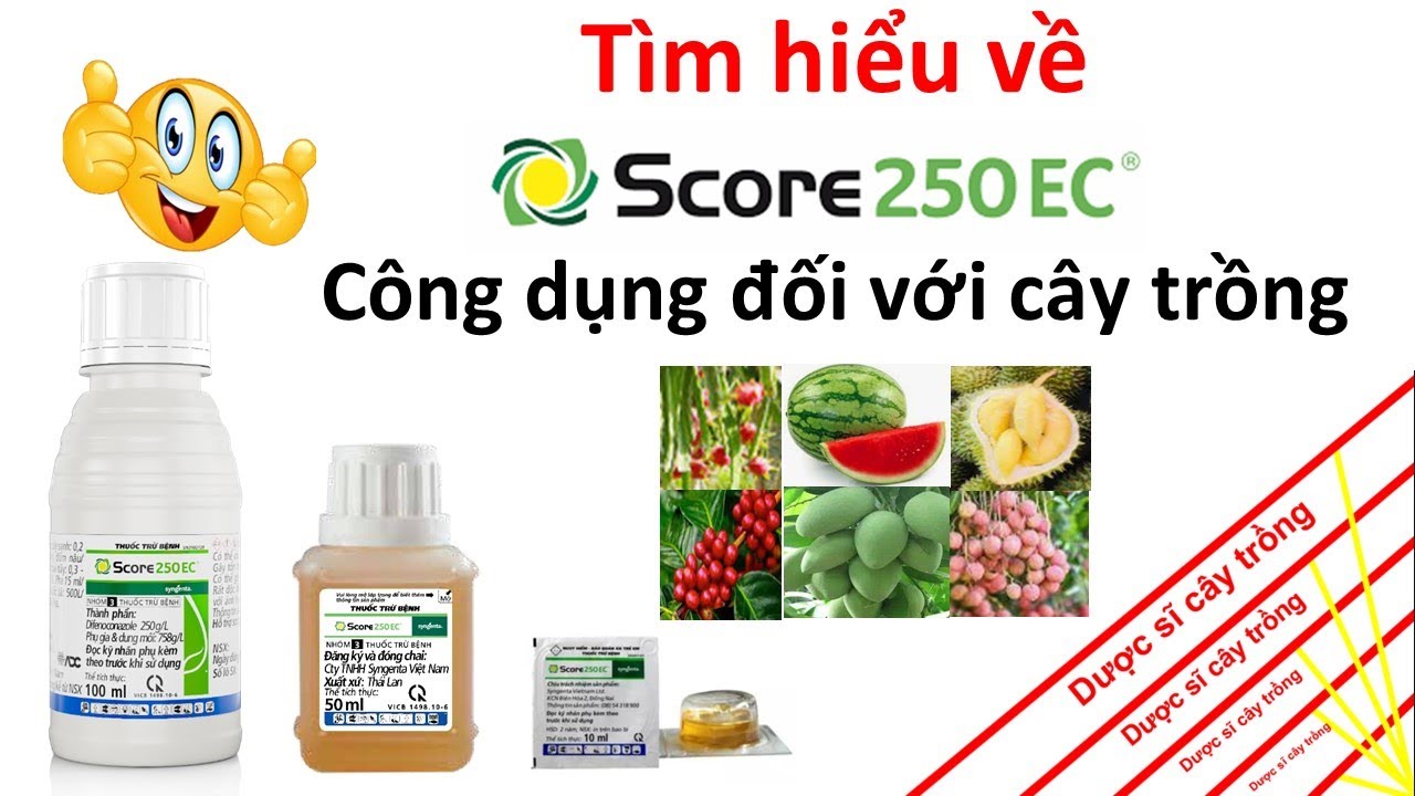 Công dụng Score 250EC quản lý bệnh trên cây trồng | Defenoconazole | Duoc si | thuốc trừ bệnh cây