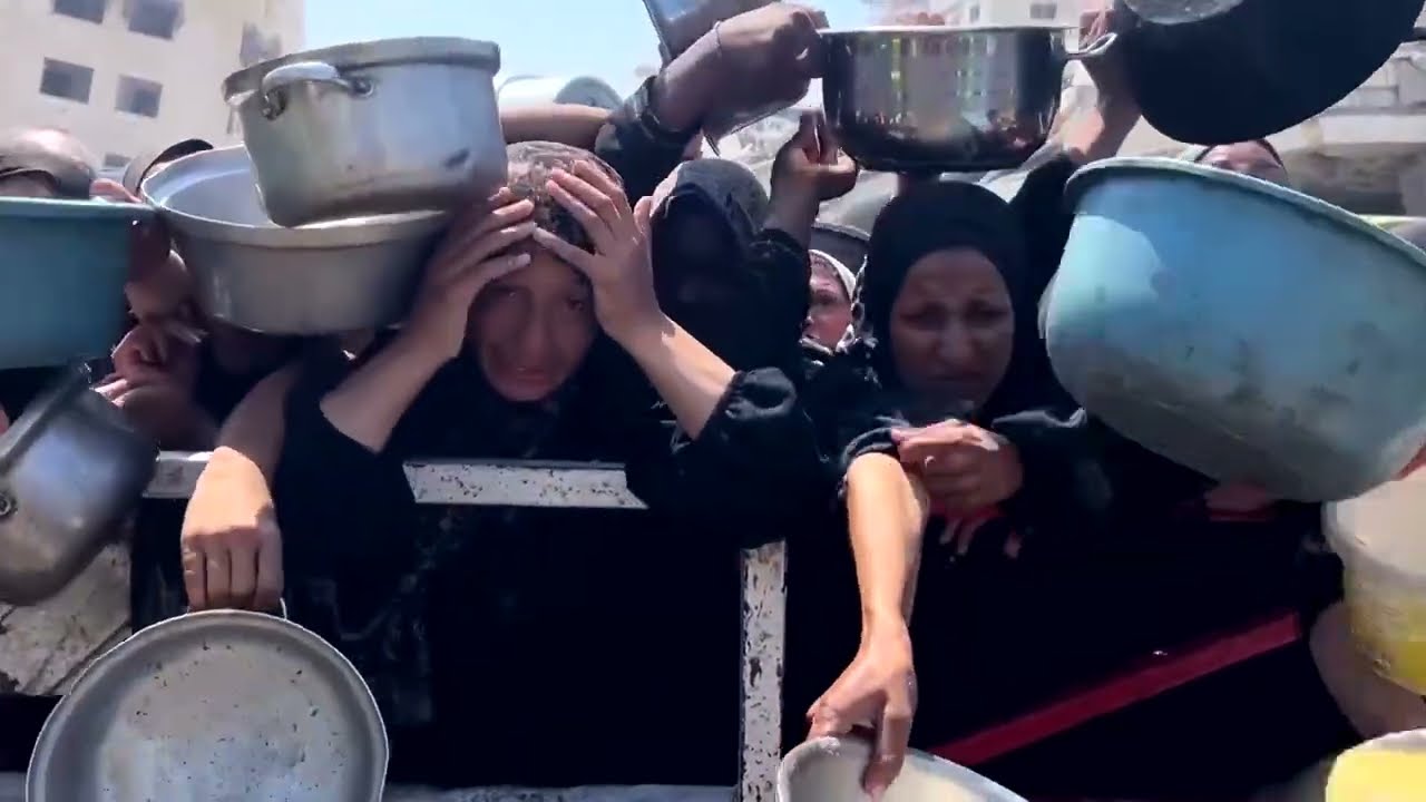 How Gaza malnutrition could cause lifelong harm | REUTERS