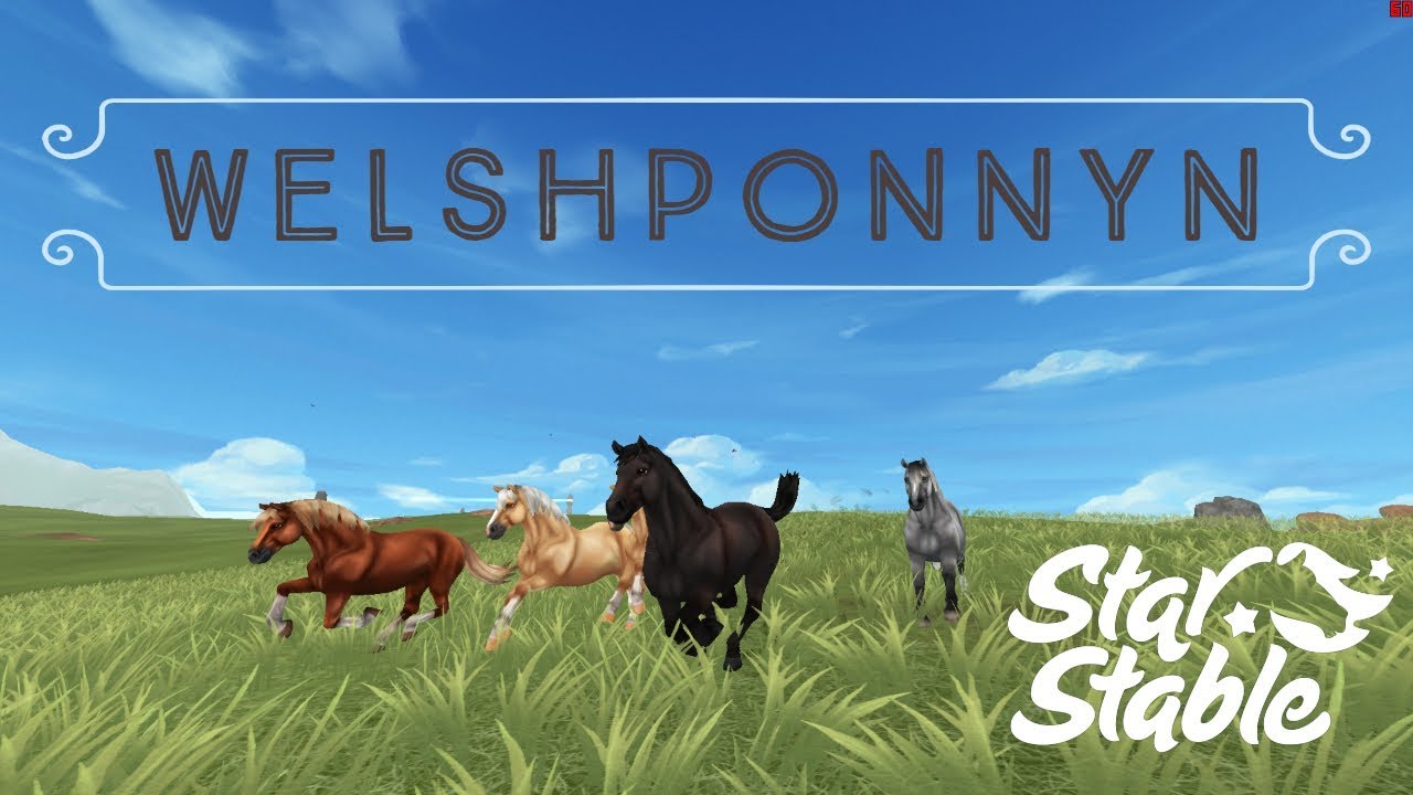 WELSHPONNYN | SSO