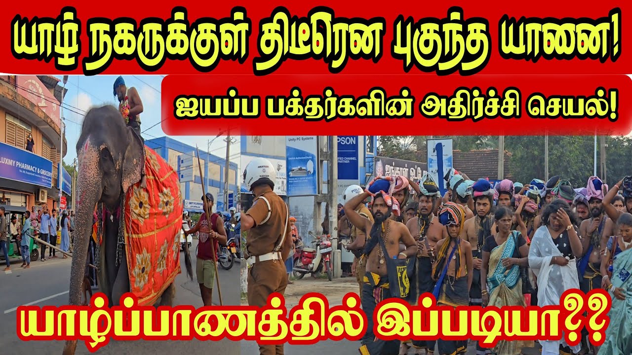 🔴யாழ்நகருக்குள் திடீரென புகுந்த யானை! ஐயப்ப பக்தர்களின் அதிர்ச்சி செயல்! மெய்சிலிர்க்க வைத்த காட்சி!