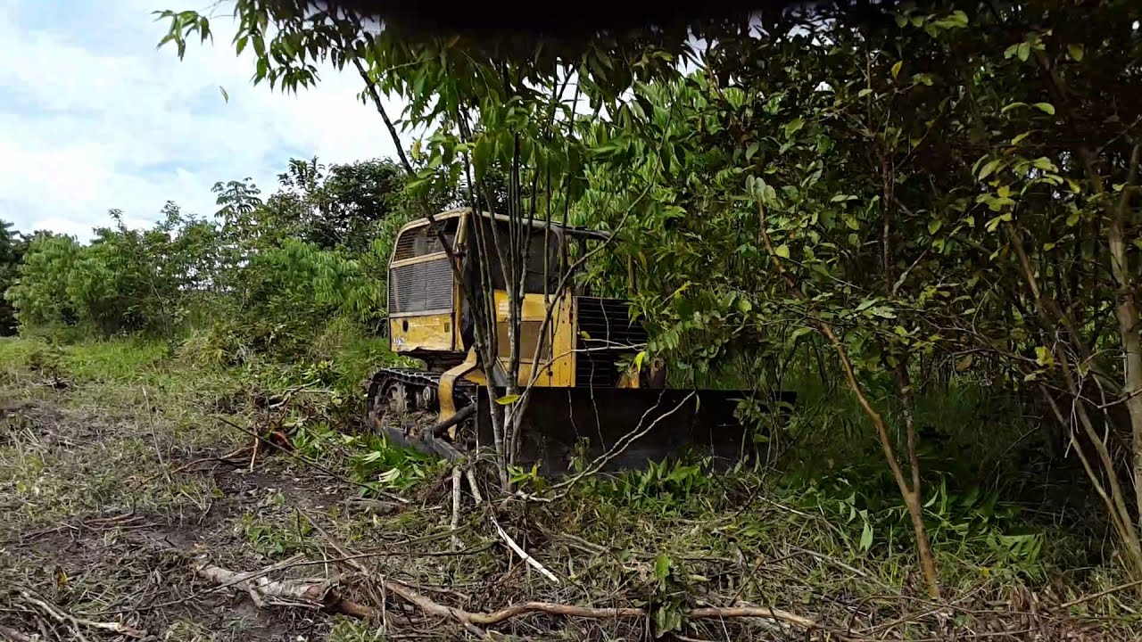 TRATOR AD7B LIMPANDO FAZENDA 2015
