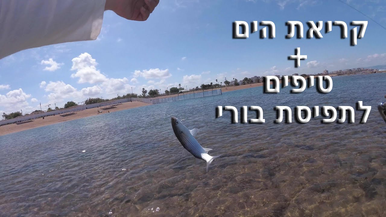דייג 2020 קריאת הים + טיפים על מנת לתפוס בורי + דייג מושטים בכנרת   ultralight fishing for mullet