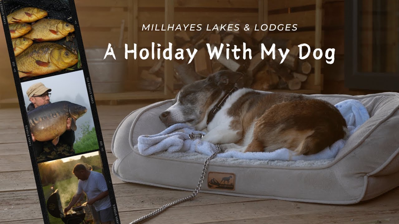 ***LAKE EXCLUSIVE*** Millhayes BIG CARP - A Family Fishing Holiday
