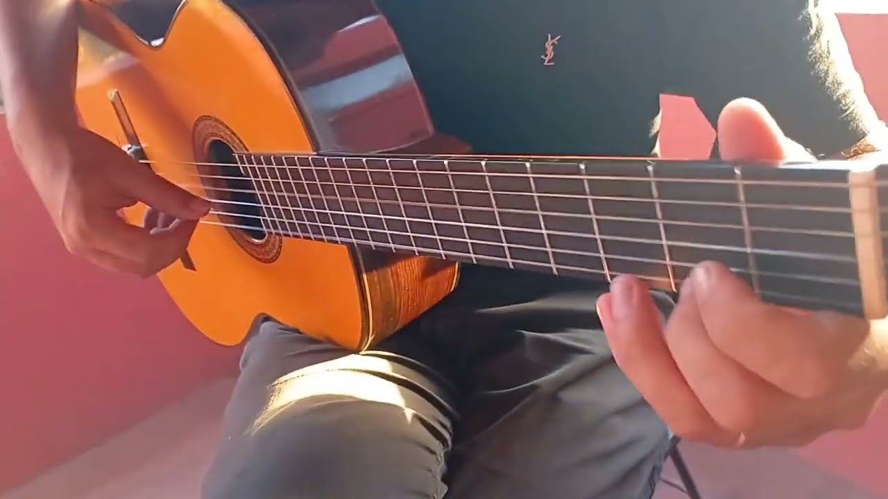 Estudio V Radamés Gnattali - Emmanuel Riegler 