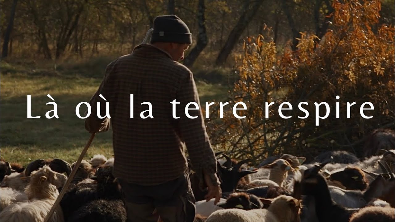 Là où la terre respire - Tout quitter pour devenir berger