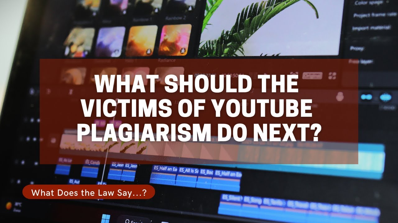 What Can the Victims of James Somerton's Plagiarism Do?