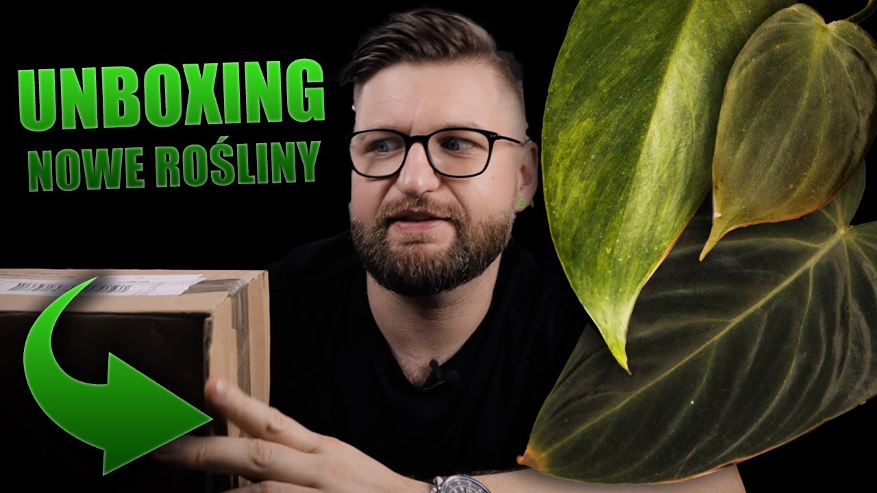 #133 Unboxing, nowe ciekawe Filodendrony w kolekcji.