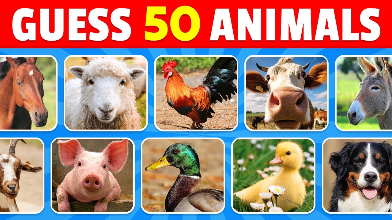 Guess 50 Farm Animals in 3 Seconds 🐮🐷🐴 | Easy, Medium, Hard, Impossible