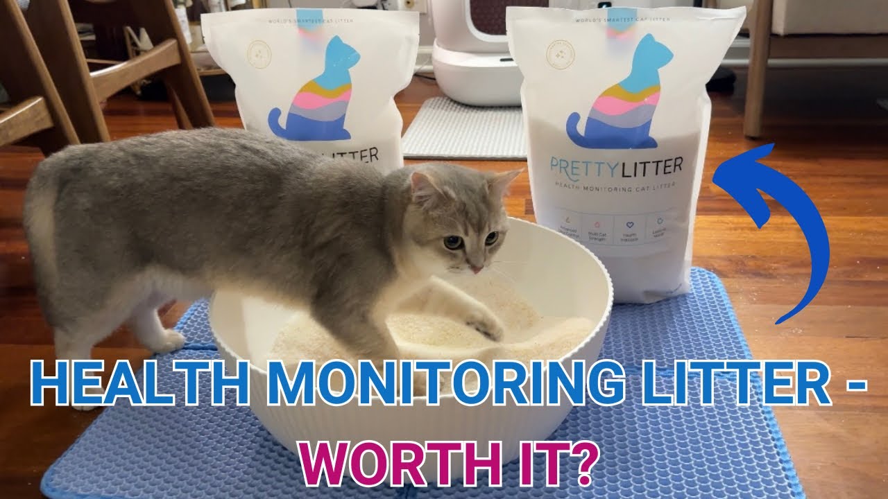 Our Experience with PrettyLitter&rsquo;s Health Monitoring Cat Litter