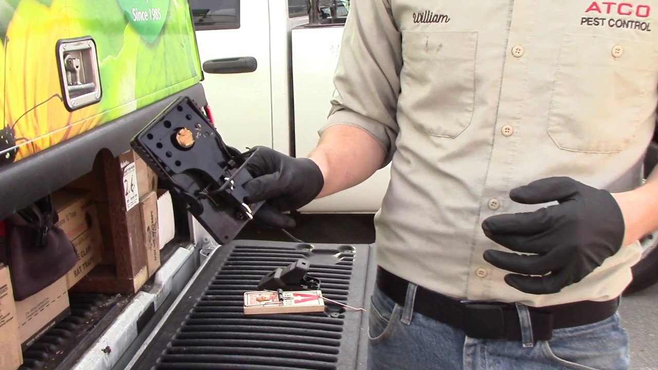 How To Set A Claw Rat Trap - Atco Pest Control