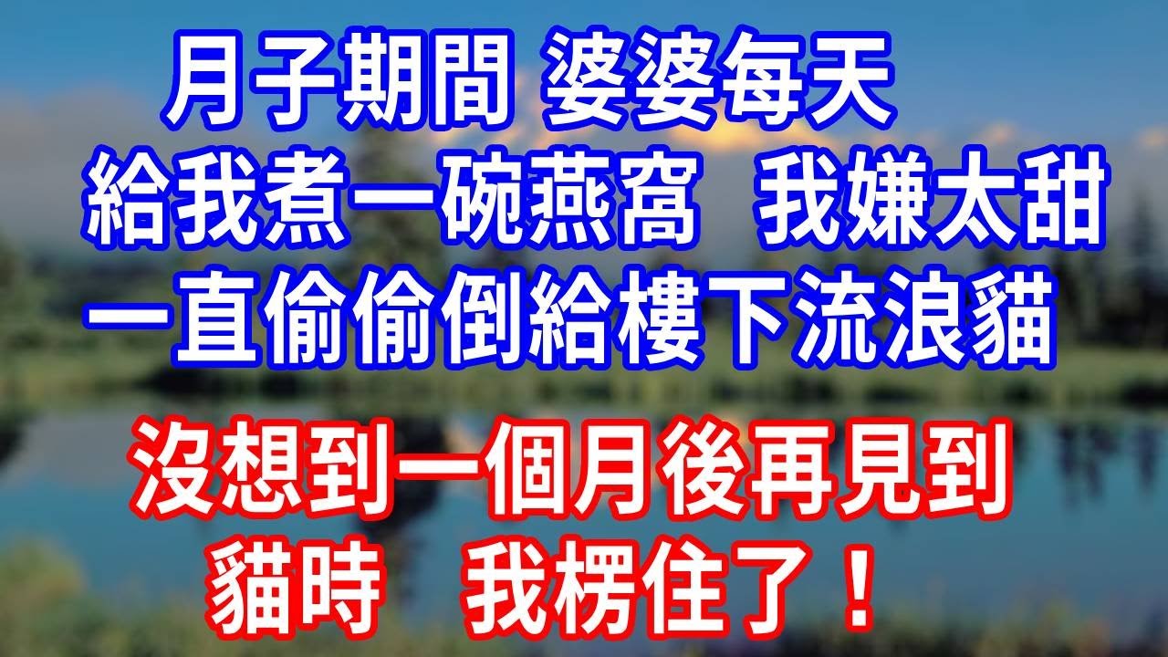 月子期間，婆婆每天給我煮一碗燕窩，我嫌太甜一直偷偷倒給樓下流浪貓，沒想到一個月後再見到貓時，我楞住了！#生活經驗 #故事分享 #人生感悟 #情感 #正能量