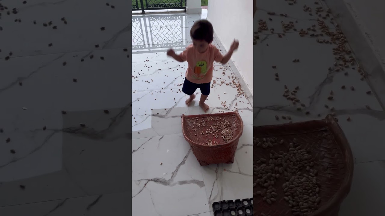 Messing up with Beans. This is how I play 