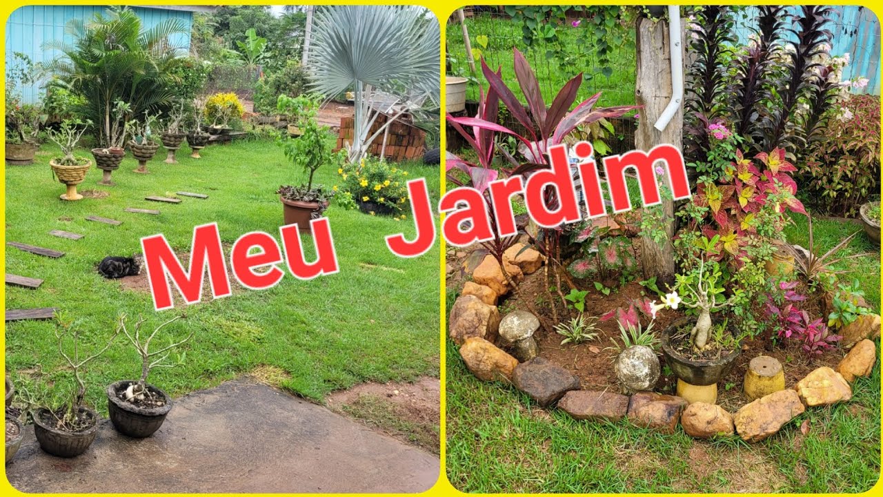 Meu Jardim Com Novidades e Plantas nos Canteiros de Pedras