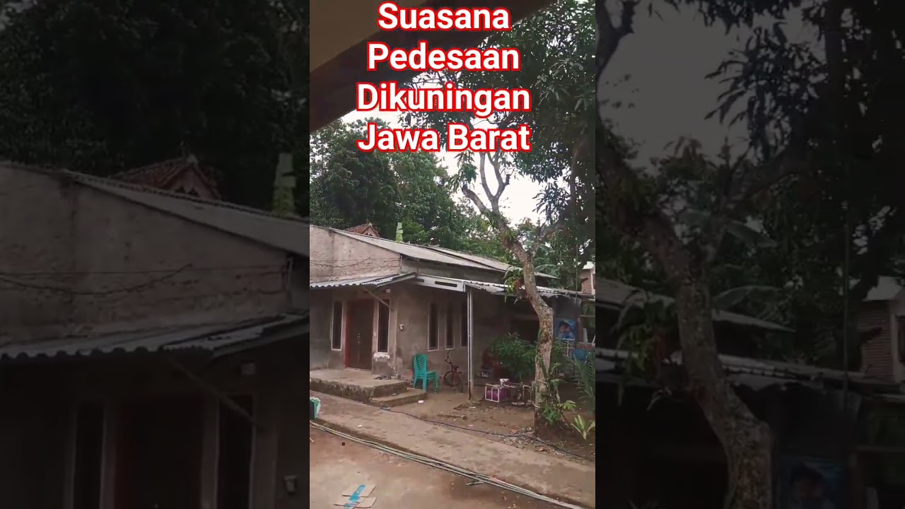 Suasana Pedesaan Di Kuningan Jawa Barat | Kuningan Hits #fyp #shorts #viral #youtube #pedesaan #desa