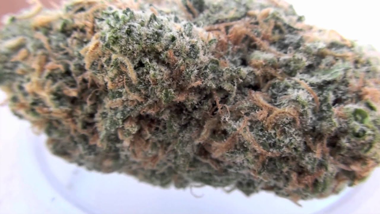 BLUE DREAM REVIEW - DANK