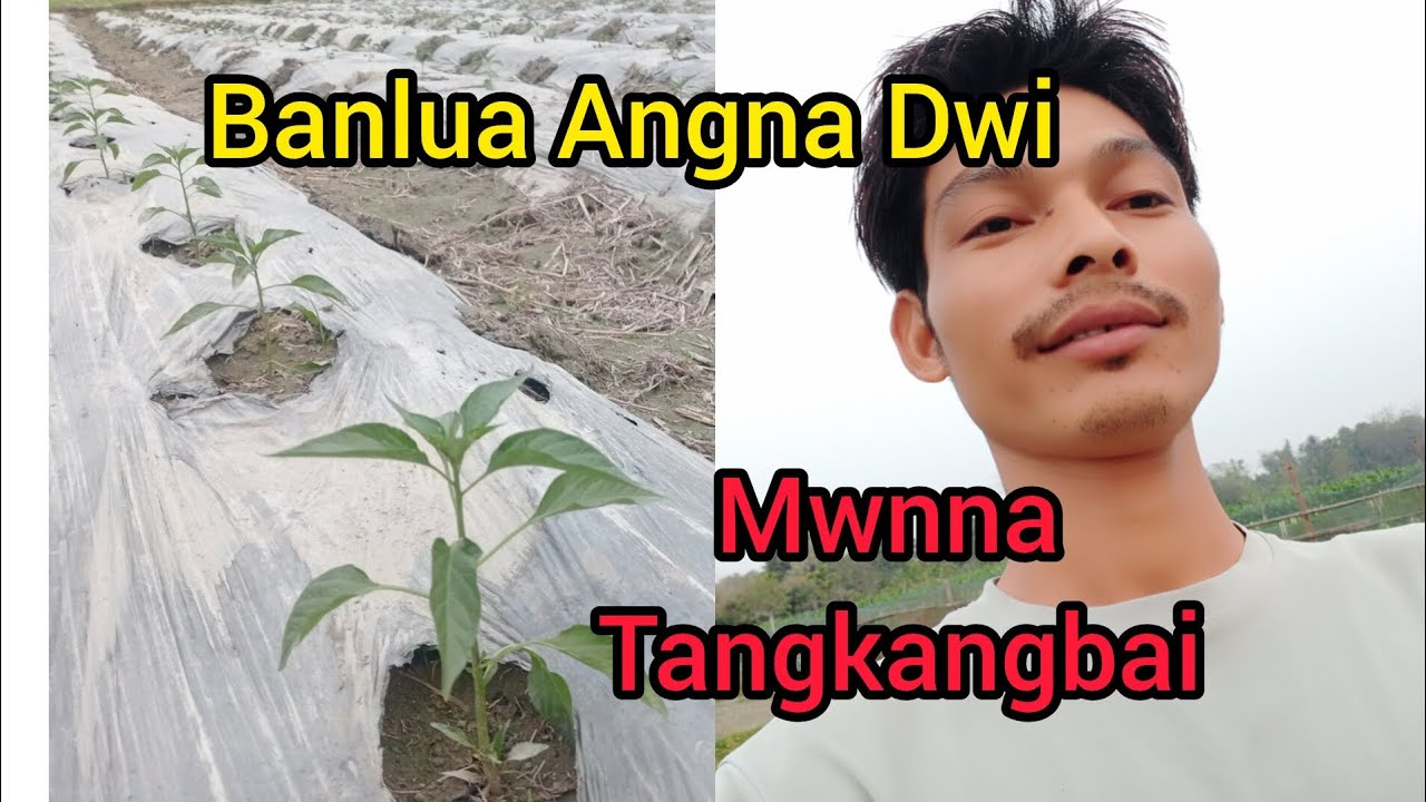 Banlua Angna Tangkangbai Ep. 91