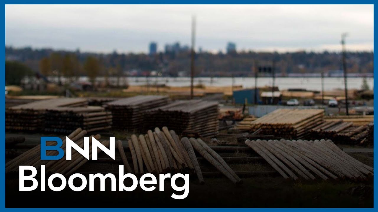 'Shipments from Canada to the U.S. are down about 25% per month': Swetlishoff on lumber tariffs