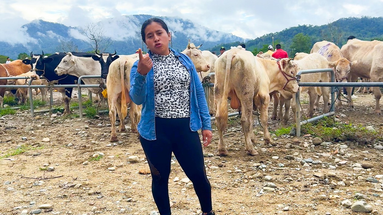 Visitando la feria de GANADOS en mi pueblo | Doña Viky | Viky Aventura