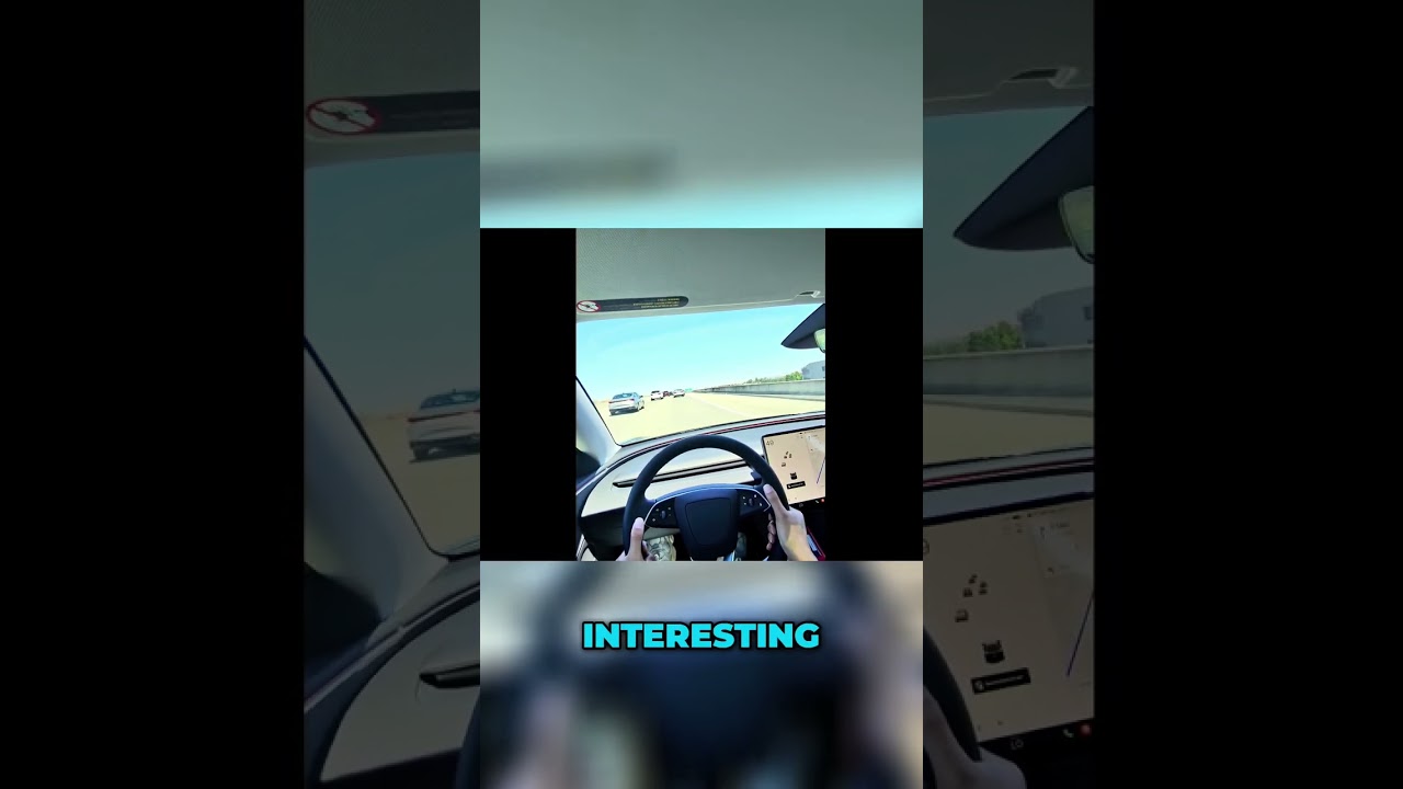 Tesla Drive Experience: Fun on Bay Area Roads