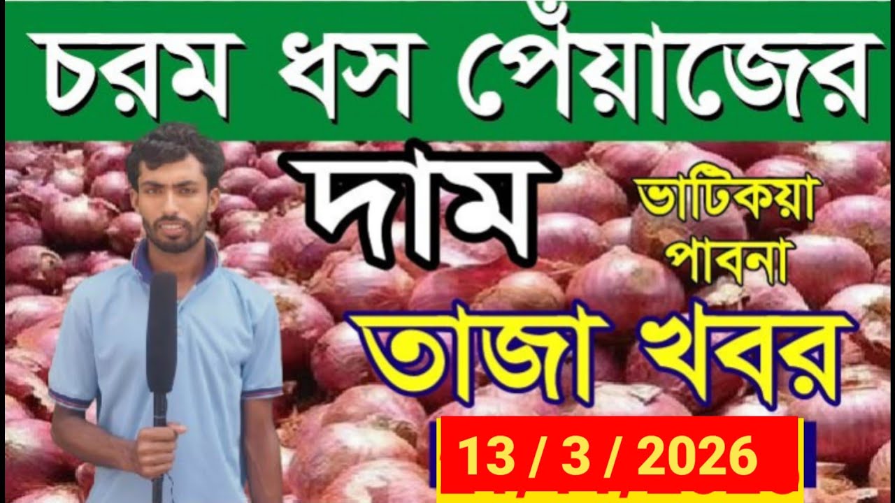 13/3/2026 মনকাটা পেঁয়াজ চরম ধস পাবনা | পেঁয়াজের আজকের খবর | Bangladesh onion market today 2026