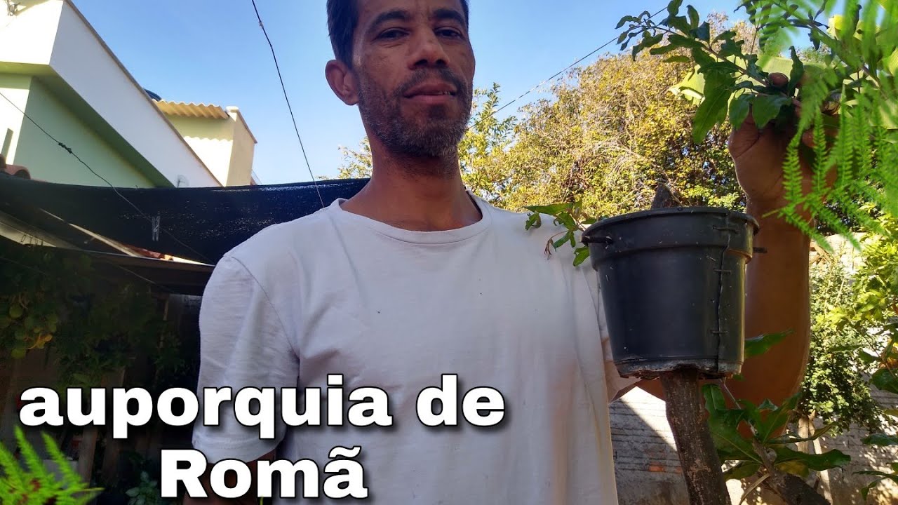 Auporquia de Rom&atilde;