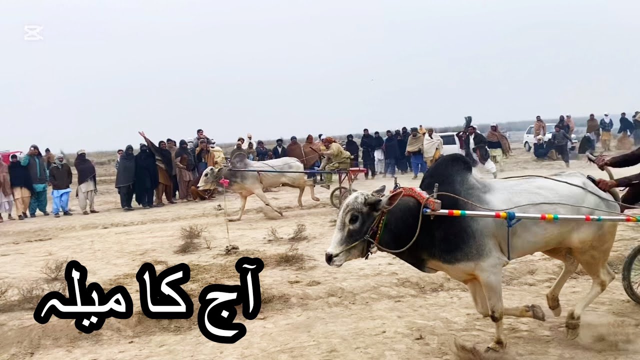 نیو بیلو کا جلسہ 9 January Mila MALIK MALIK Hameed ￼  God por kaleem Chowk ￼